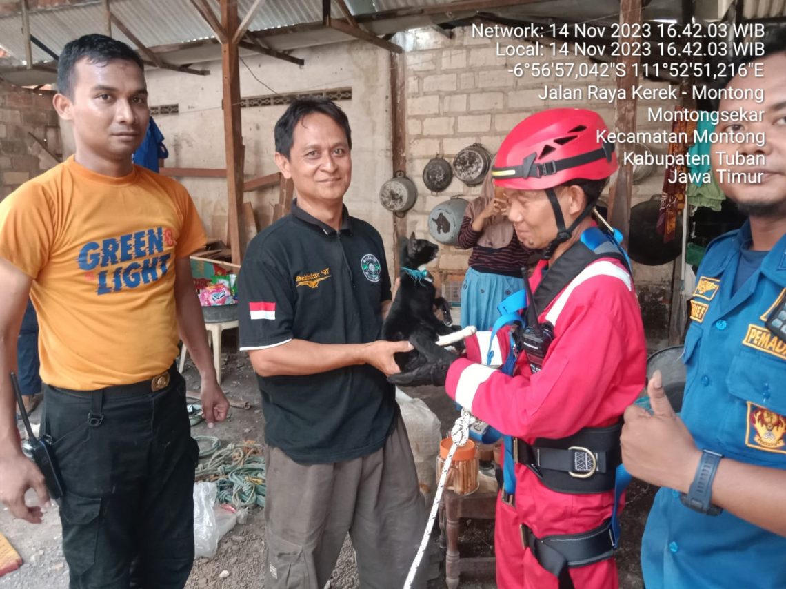 Damkar Tuban mengevakuasi kucing yang tercebur sumur sedalam 12 meter. Foto: dok Damkar Tuban