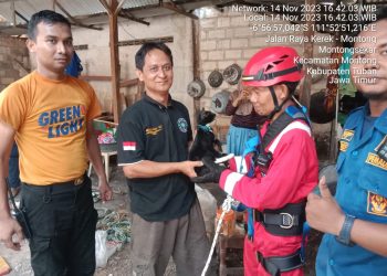Damkar Tuban Selamatkan Kucing Tercebur Sumur Sedalam 12 Meter