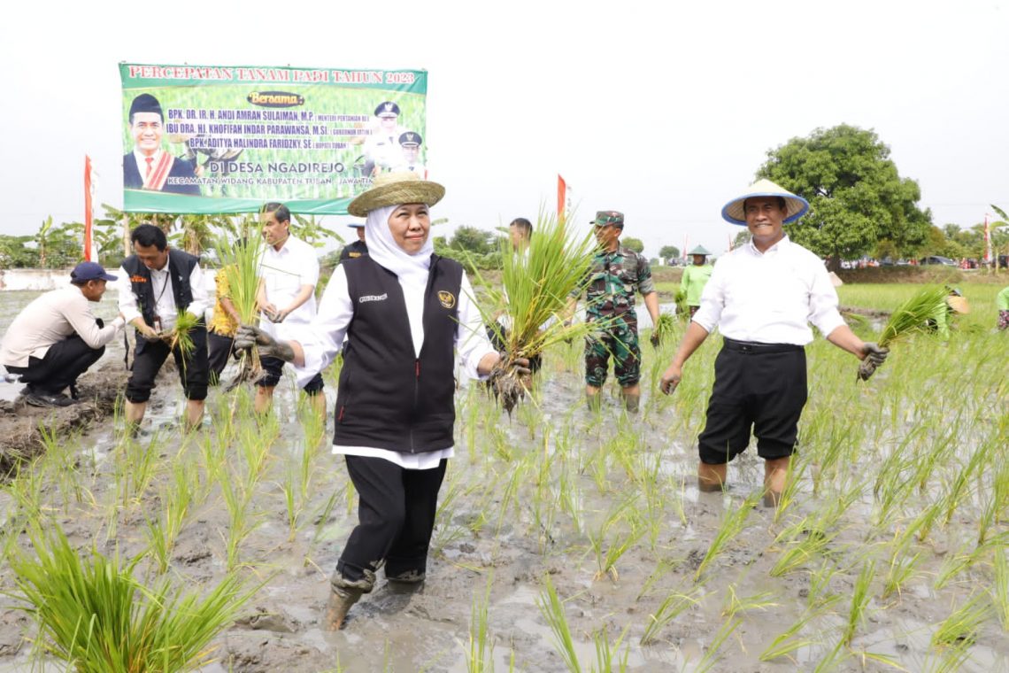 Menteri Pertanian RI, Andi Amran Sulaiman; Gubernur Jawa Timur, Khofifah Indar Parawansa; dan Bupati Tuban, Aditya Halindra Faridzky menanam padi di Tuban. Foto: dok Humas Pemprov Jatim