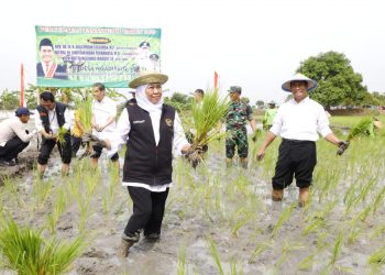 Mentan Bagikan Bibit, Pupuk, dan Alat Pertanian ke Petani Tuban