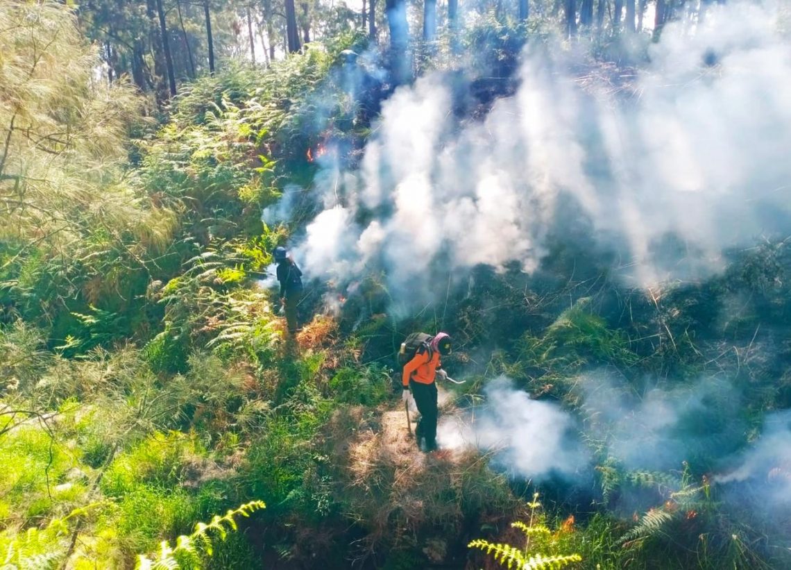 Petugas saat pemadaman karhutla di lereng Gunung Arjuno. Foto: BPBD Mojokerto