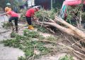 Sepekan ke Depan, Cuaca Ekstrem Intai Jawa Timur