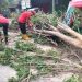 Sepekan ke Depan, Cuaca Ekstrem Intai Jawa Timur 8 Sepekan ke Depan, Cuaca Ekstrem Intai Jawa Timur