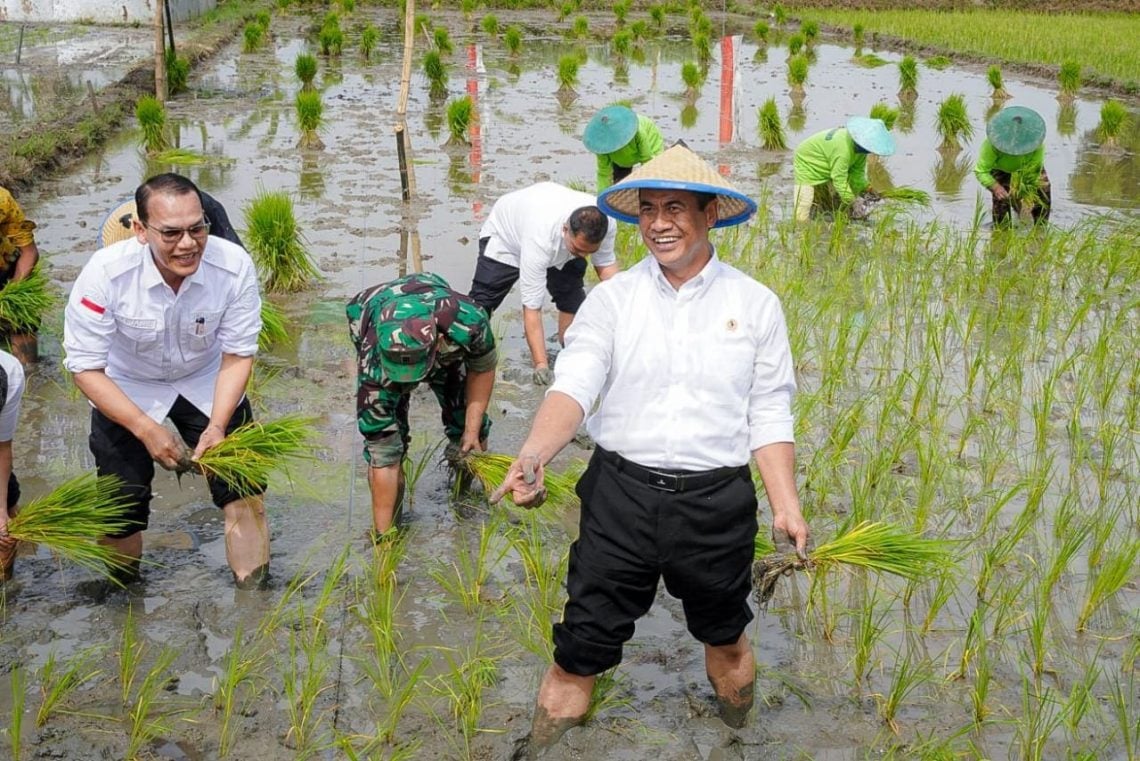 Pupuk subsidi.