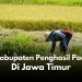 Kabupaten penghasil padi terbanyak di Jawa Timur.