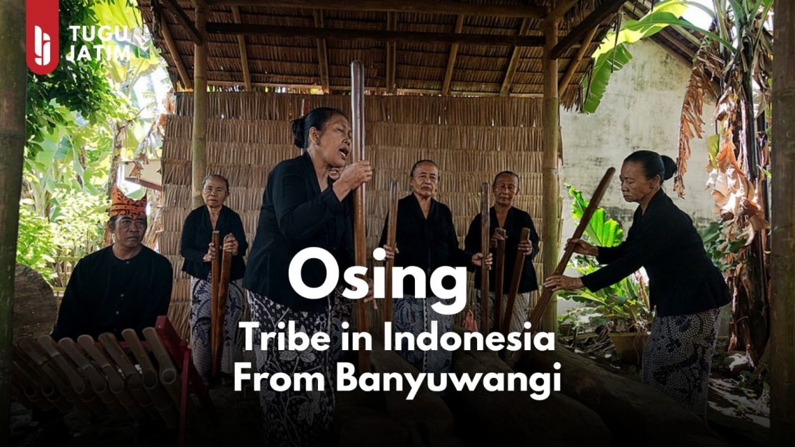 Get to Know the Osing Tribe, An Indigenous Tribe In Indonesia from Banyuwangi 1 Tribe In Indonesia.