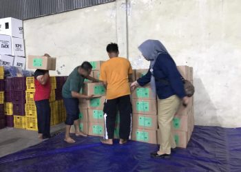 Surat suara.