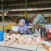 Harga daging ayam.