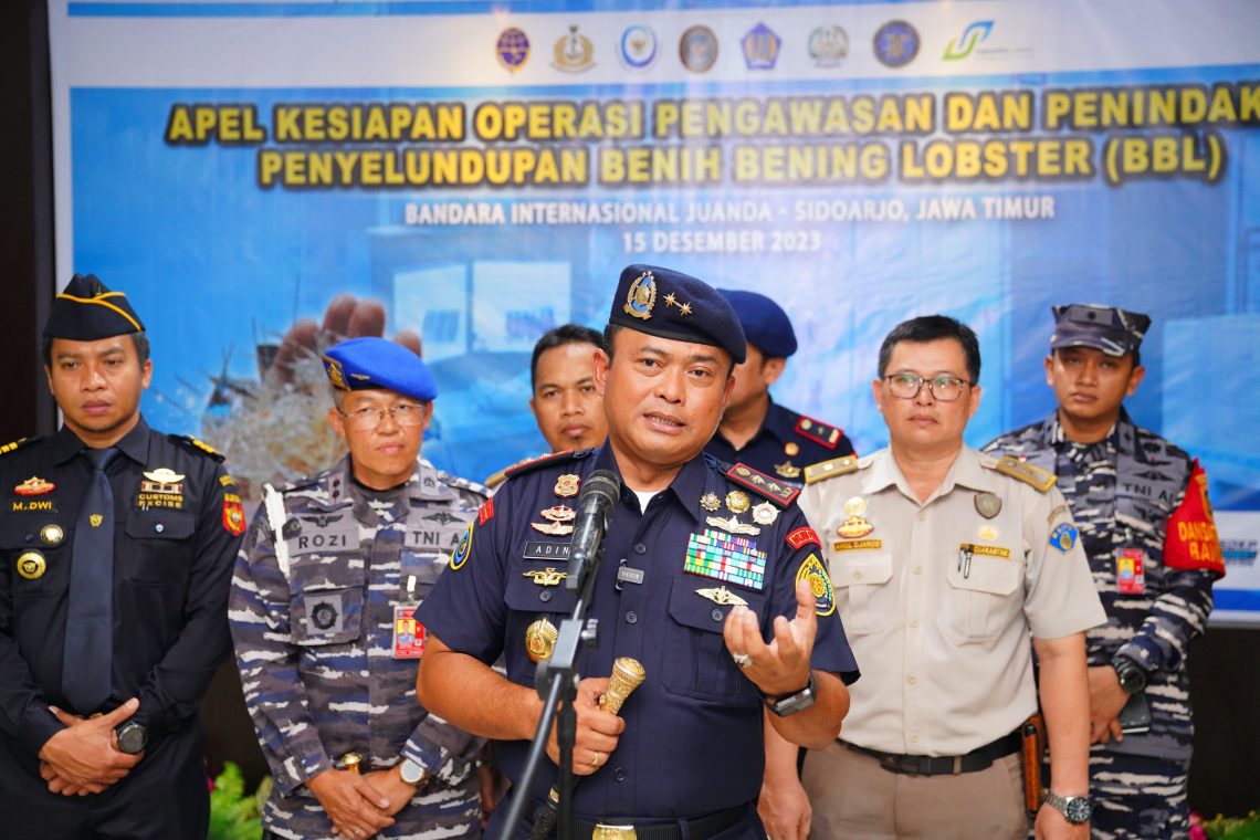 Marak Penyelundupan Benih Bening Lobster, KKP Gencar Sisir Bandara Juanda 1 Benih bening lobster.