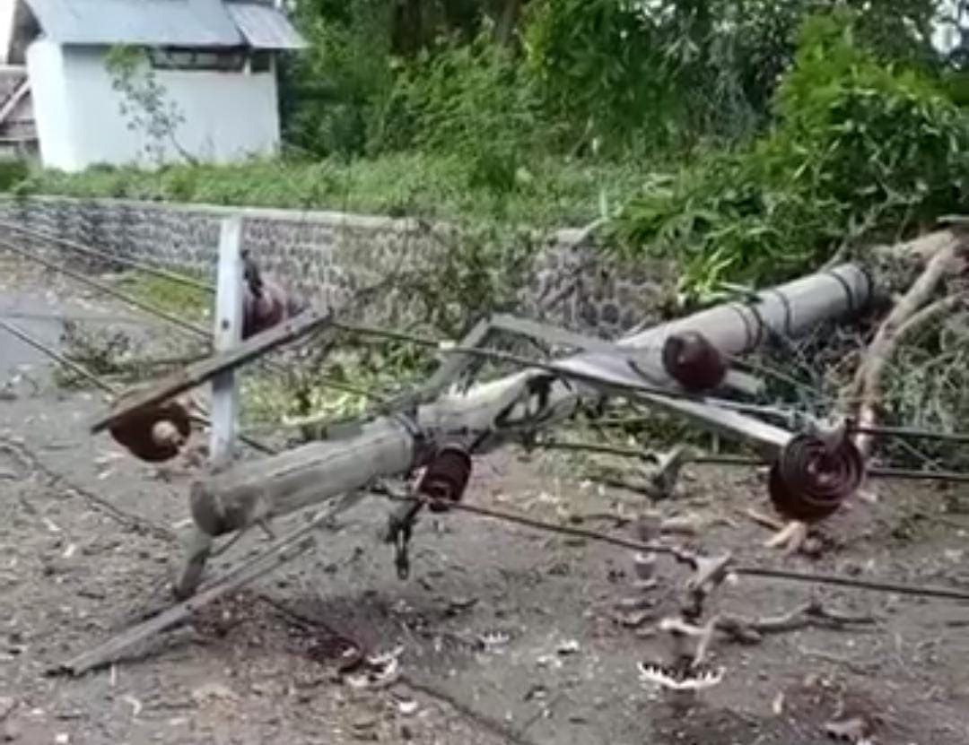 Dua Hari Hujan Deras, Rumah Ambruk hingga Tiang Listrik Roboh di Pasuruan 2 Rumah ambruk di Pasuruan.