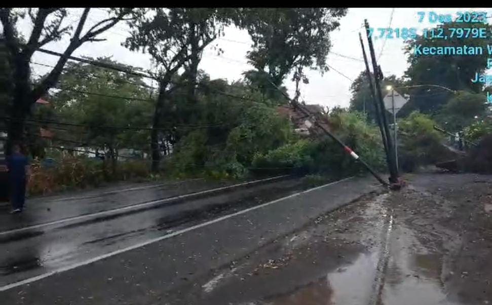 Pohon tumbang di Wonorejo Pasuruan.