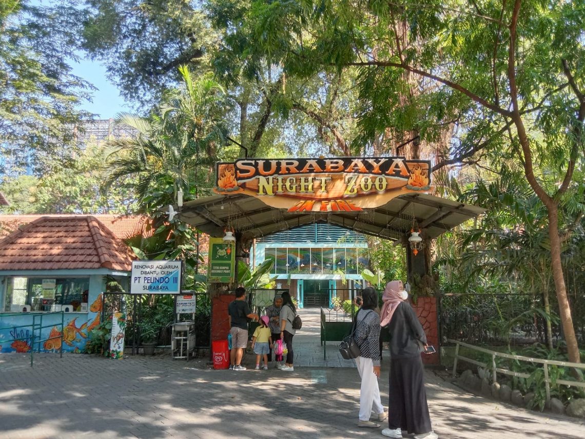 Kebun Binatang Surabaya Prediksi Sedot 75 Ribu Pengunjung saat Puncak Libur Nataru 2024 1 Kebun Binatang Surabaya.