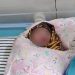 Bayi Cantik di Kota Batu Diduga Dibuang, Warga Gunungsari Geger Temukan di Teras Rumah 8 Bayi cantik.