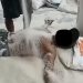 Bulog Surabaya Utara Pecat Buruh Lepas Usai Viral Mandi Beras 8 Mandi beras.