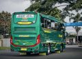 bus malang solo