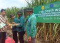 Kejar Target Swasembada Gula, Ditjen Perkebunan dan P3GI Pasuruan Bagikan 180 Ribu Bibit Varietas Unggul ke Petani Tebu