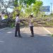 Tertimpa Pohon Tumbang di Malang, 2 Warga Bojonegoro Tewas 10 Tertimpa Pohon Tumbang di Malang, 2 Warga Bojonegoro Tewas
