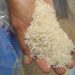 Jelang Nataru, Harga Bahan Pangan di Tuban Merangkak Naik 8 Jelang Nataru, Harga Bahan Pangan di Tuban Merangkak Naik