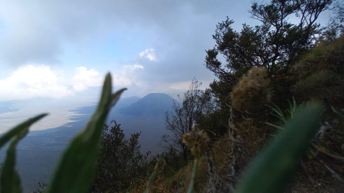 Suasana keindahan Taman Nasional Bromo Tengger Semeru. Foto: TikTok