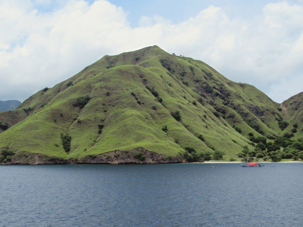 komodo dragon island