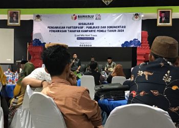 Peran Media Dalam Pengawasan Partisipatif Pemilu 2024