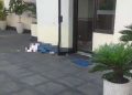 Seorang Mahasiswi Meninggal Usai Jatuh dari Lantai 12 Gedung Filkom Universitas Brawijaya Malang