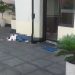 Seorang Mahasiswi Meninggal Usai Jatuh dari Lantai 12 Gedung Filkom Universitas Brawijaya Malang