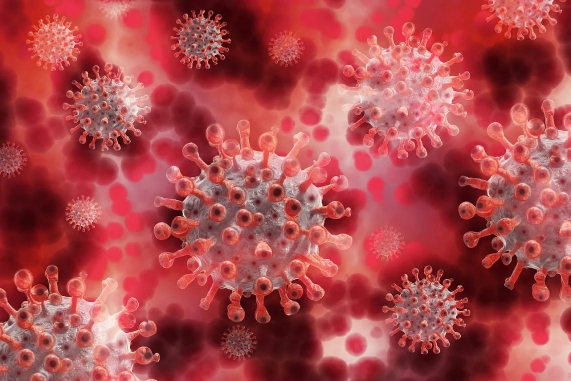 Sekda Tuban Pastikan Nihil Kasus Covid-19 di Bumi Wali 1 Ilustrasi Corona Virus Desiase (Covid-19). Foto: pixabay