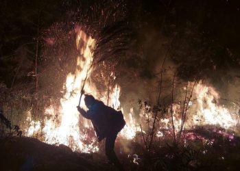 2 Kebakaran di Mojokerto yang Paling Menyita Perhatian Publik Selama 2023