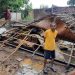 Dua Hari Hujan Deras, Rumah Ambruk hingga Tiang Listrik Roboh di Pasuruan 8 Rumah ambruk.