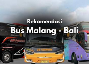rekomendasi bus malang bali