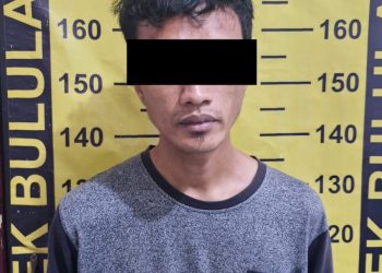 Spesialis pembobol rumah.