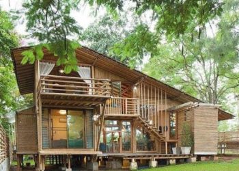 Desain rumah panggung kayu modern.