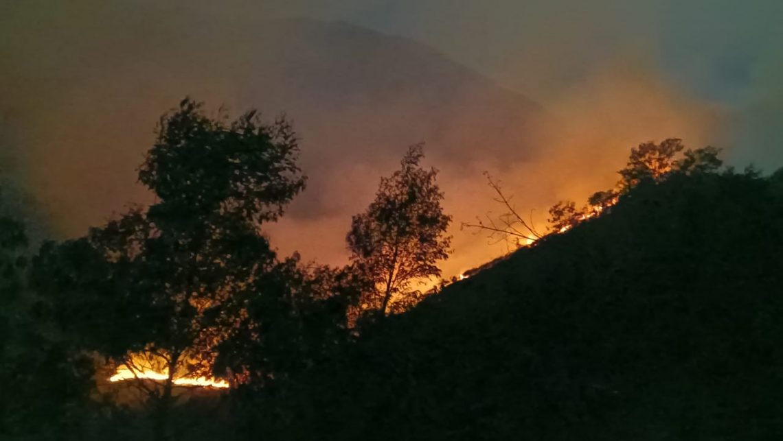 Penghijauan Area Bekas Karhutla di Kabupaten Mojokerto Dimulai Besok 5 Kebakaran yang sempat melanda wilayah Gunung Arjuno beberapa waktu lalu. Foto: BPBD Jatim
