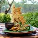 tempat makan keluarga di malang