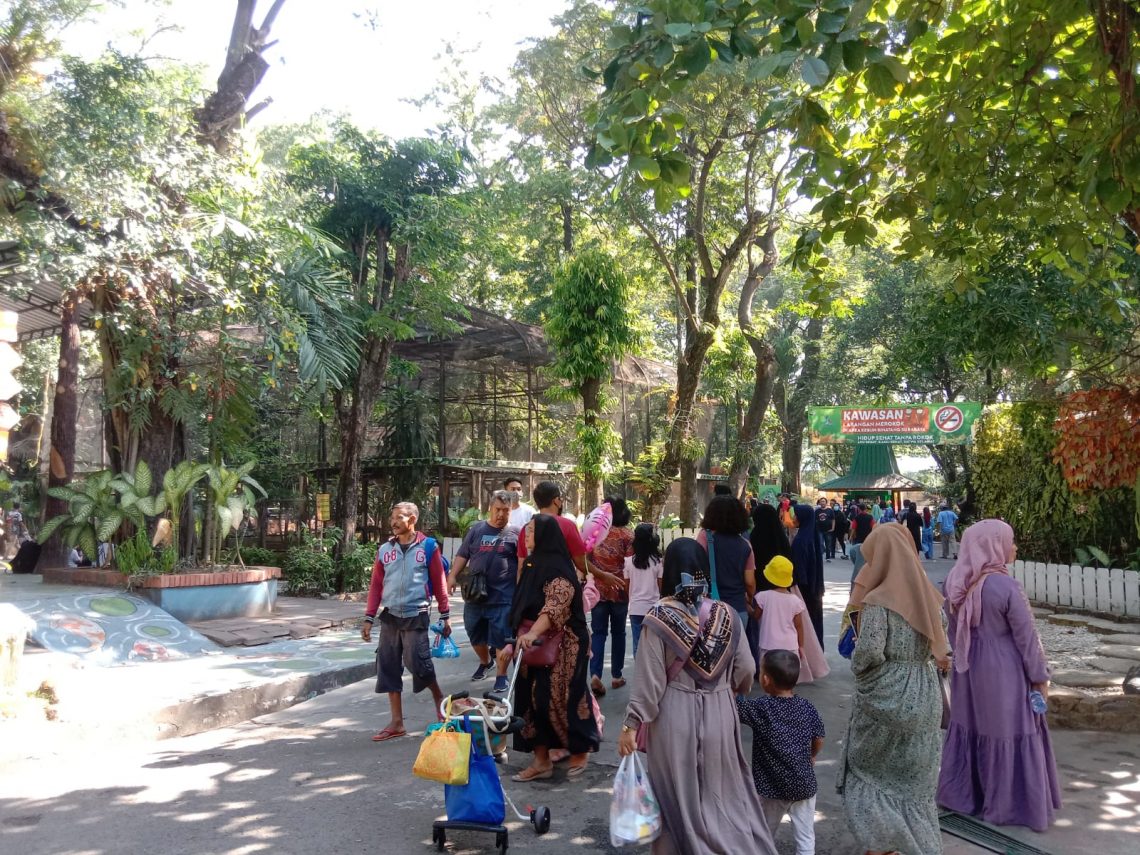 Pengunjung Kebun Binatang Surabaya. Foto: Izzatun Najibah/Tugu Jatim