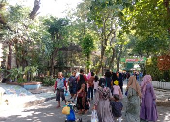 500 Ribu Orang Kunjungi Kebun Binatang Surabaya Selama Libur Nataru