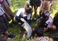 Peduli Lingkungan, YMCA Korea Selatan Ajak Pemuda di Malang Raya Tanam Pohon