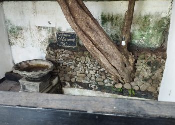 Sumber Towo di Makam Panjang Mojokerto, Sumber Air yang Diyakini Bertuah