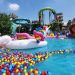 Hawai Waterpark Malang, Pilihan Asyik Liburan Anak Sekolah