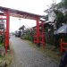 Kampung Sakura, Destinasi Wisata Baru bak di Jepang Cukup ke Kota Batu 9 Kampung Sakura.