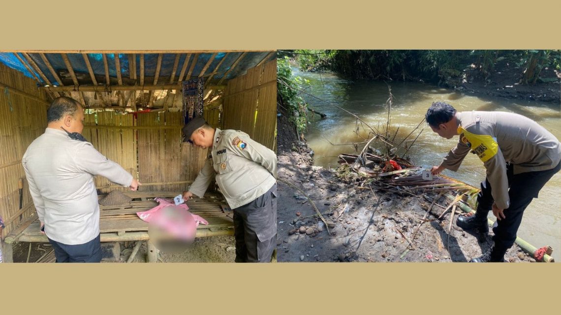 Geger Penemuan Mayat Bayi Perempuan di Pakis Malang, Warga Mengira Boneka Tersangkut di Tepi Sungai 1 Mayat bayi.