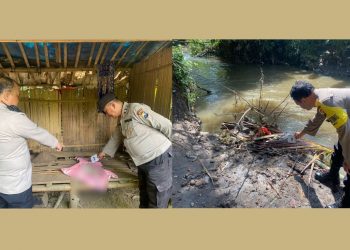 Geger Penemuan Mayat Bayi Perempuan di Pakis Malang, Warga Mengira Boneka Tersangkut di Tepi Sungai 1 Mayat bayi.