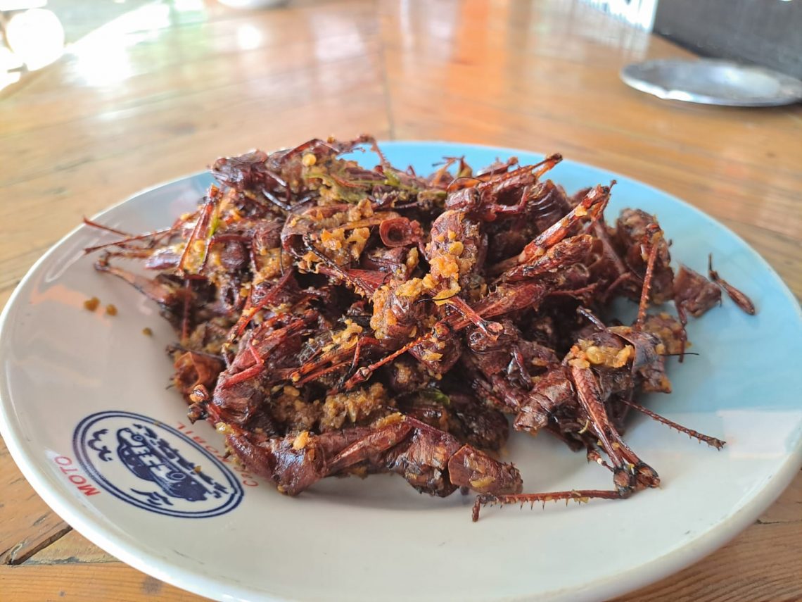 Kuliner Rica-Rica Belalang, Makanan Ekstrem di Tuban Ini Ternyata Tinggi Protein 1 rica-rica belalang