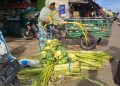 Pedagang janur.