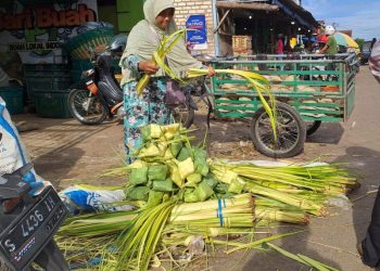 Pedagang janur.