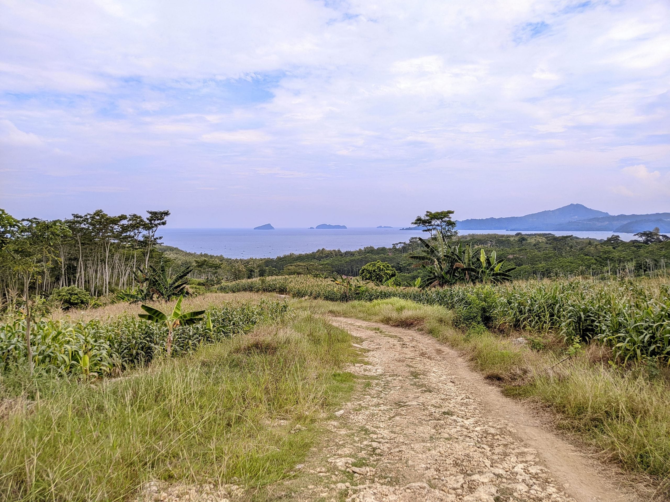 Hidden Gem Pantai Coro Tulungagung, Punya Pasir Indah dan Banyak Kerang Walau Namanya Aneh 8 pantai coro tulungagung