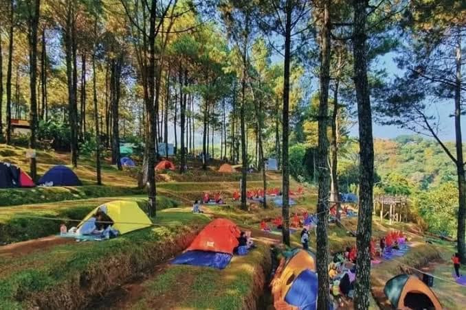 Rekomendasi tempat camping di Mojokerto.