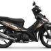 Motor bebek.