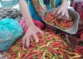 harga bumbu dapur.